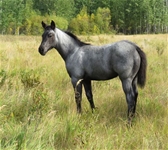 Casino Cashn Hancock